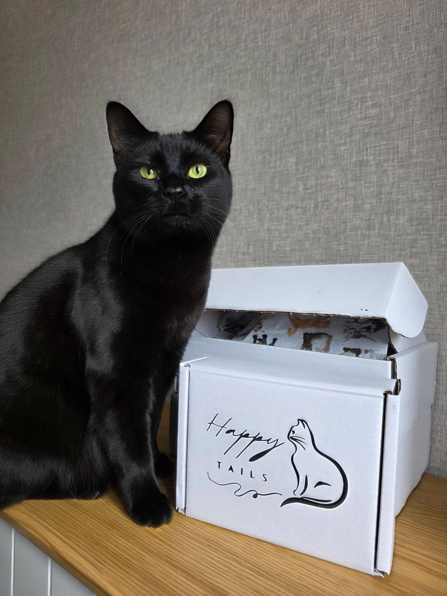 Freddie & Penny’s First Easter at&nbsp;Home