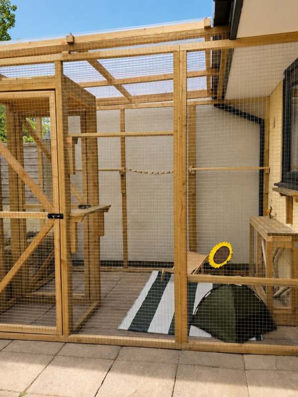 Freddie and Penny’s Catio&nbsp;Adventure